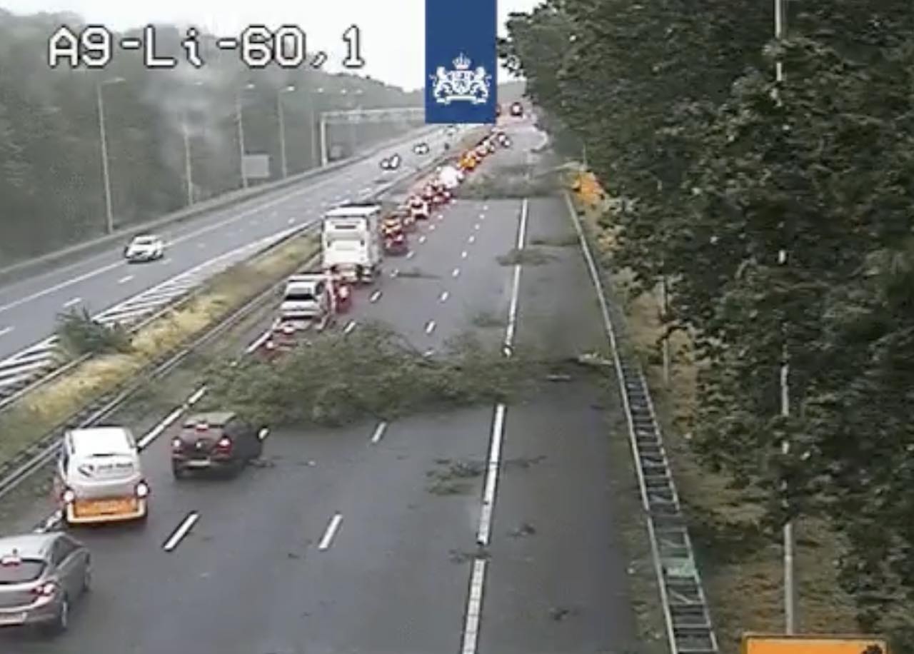 буря поли нидерландия