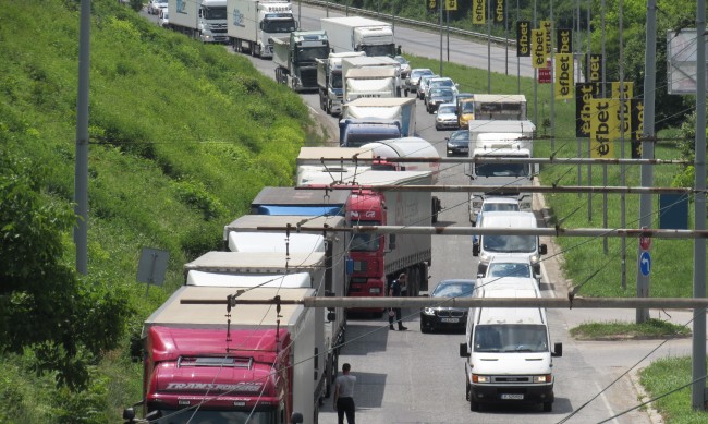 тапи, опашки