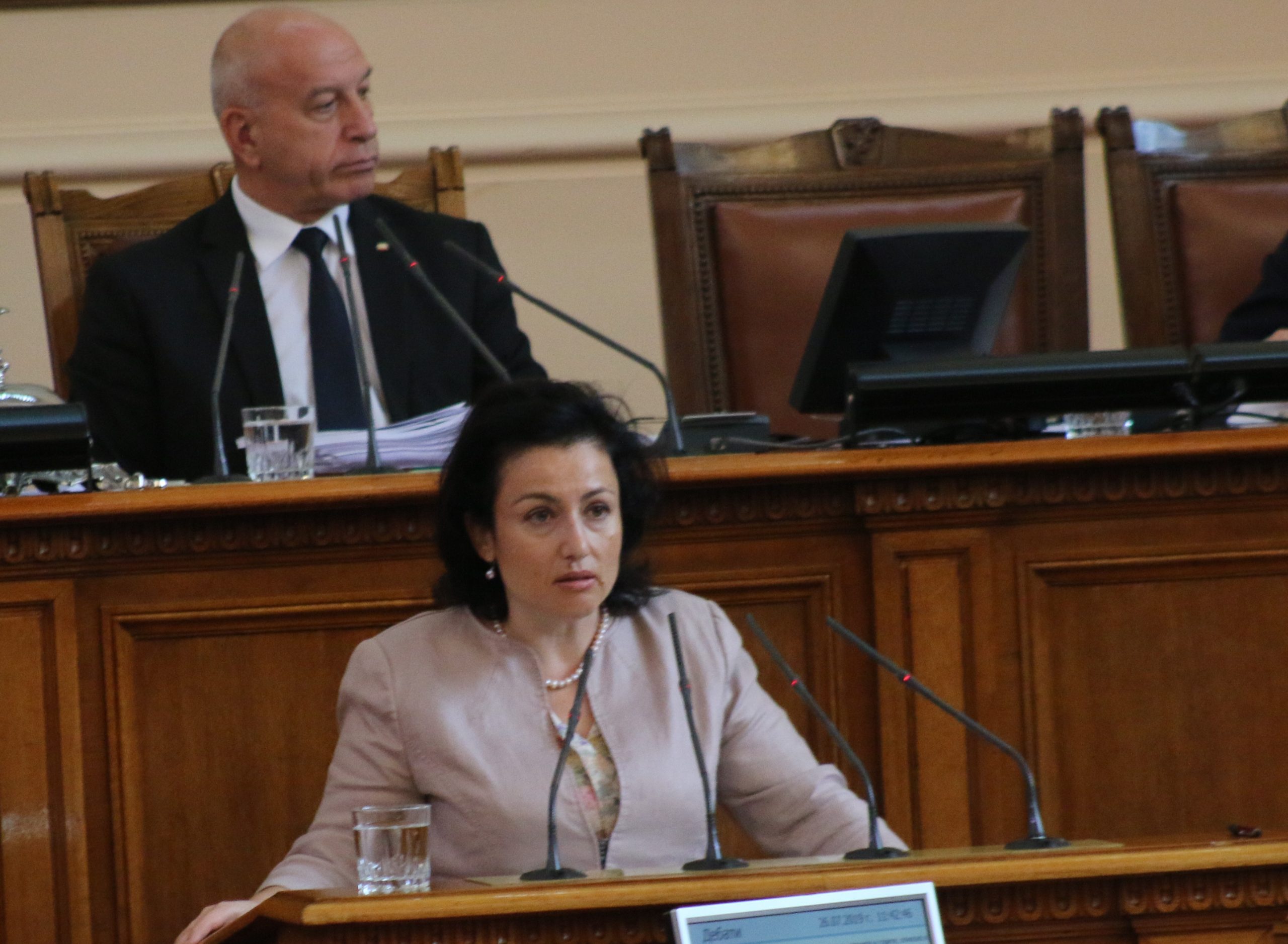 Парламент Десислава Танева отговаря за африканската чума по свинете