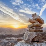 Стратегия за биоразнообразие