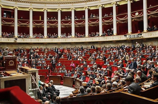 франция парламент