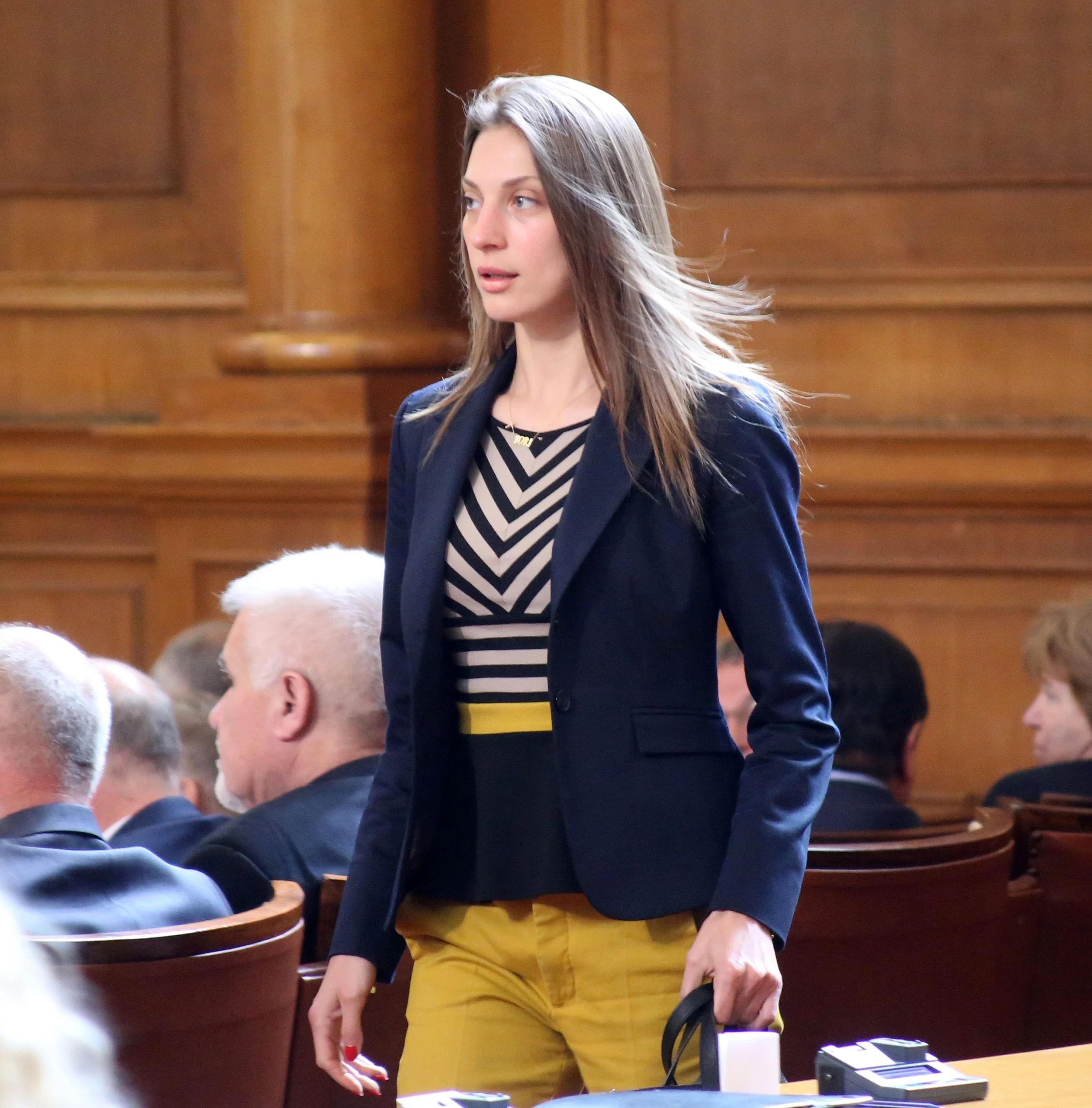 Парламент Боряна Георгиева Воля