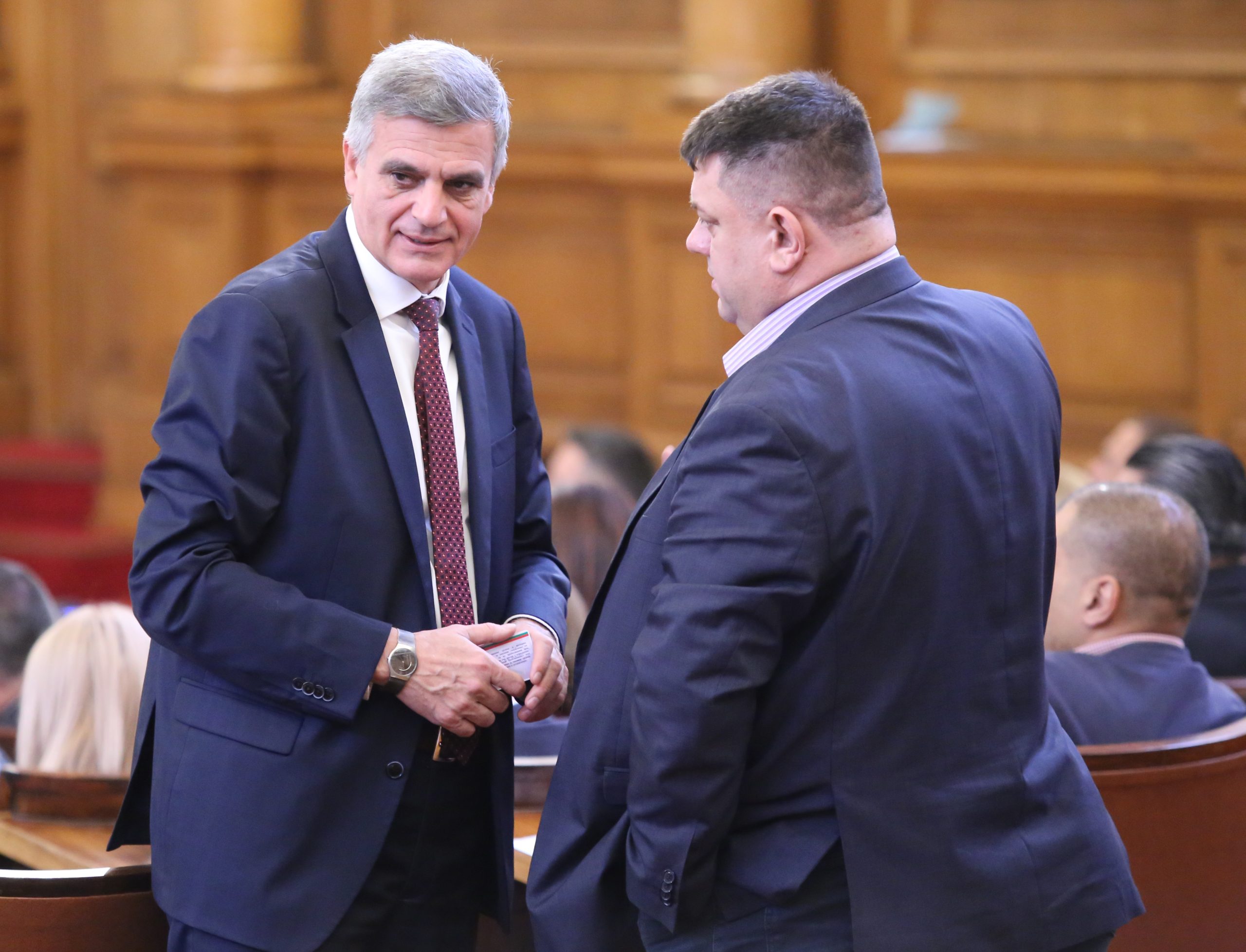 Парламент Стефан Янев