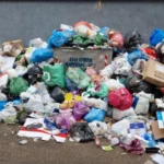 Боклукът се завръща - София загуби делата за чистенето във ВАС