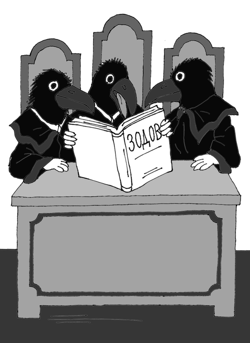 Migration Image