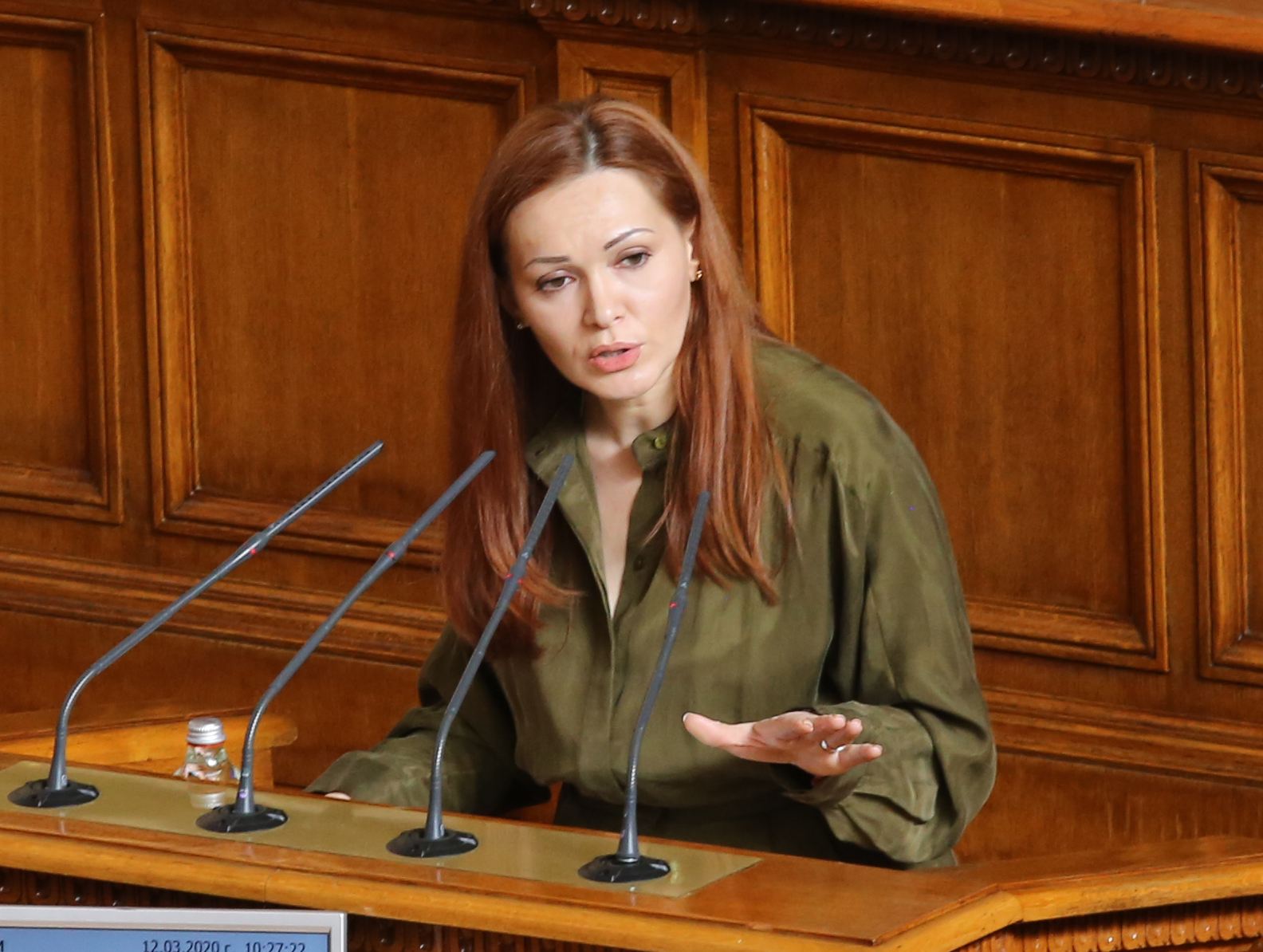 Габриела Козарева -  Изпълнителени директор на Агенцията по вписванията