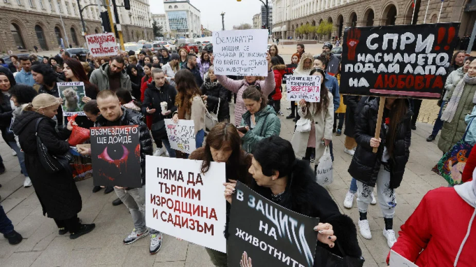 Пореден протест с искане за по-ефективни присъди за насилниците на животни