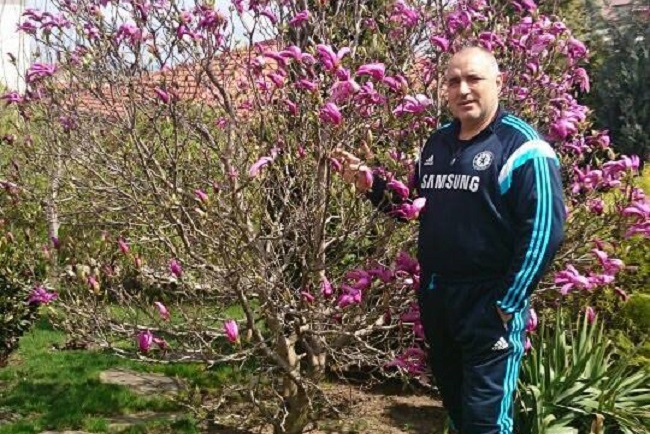 магнолия