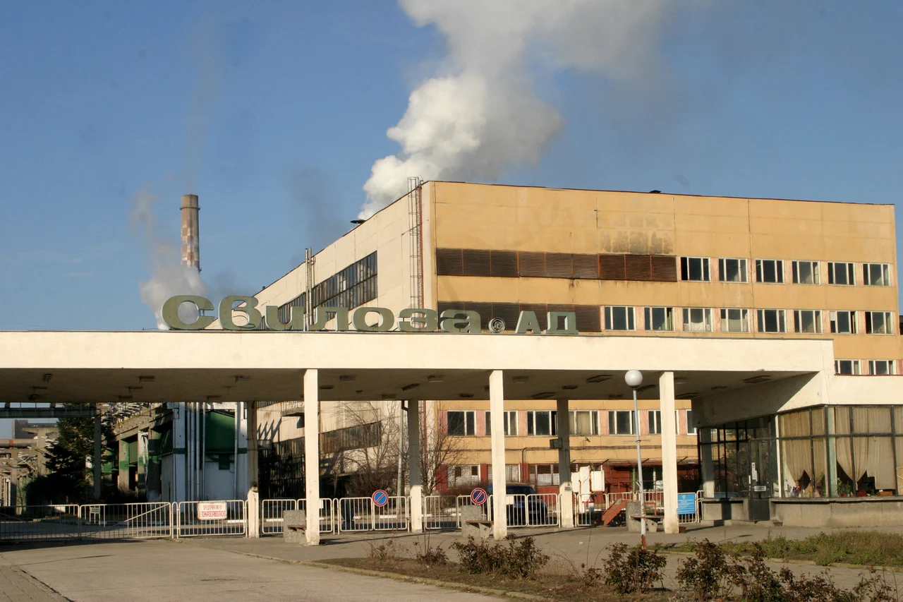 СилистраСвилоза