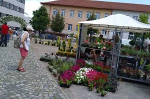 София Тех Парк на цветята