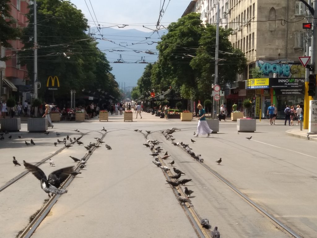 Лятна София през погледа на фотографа