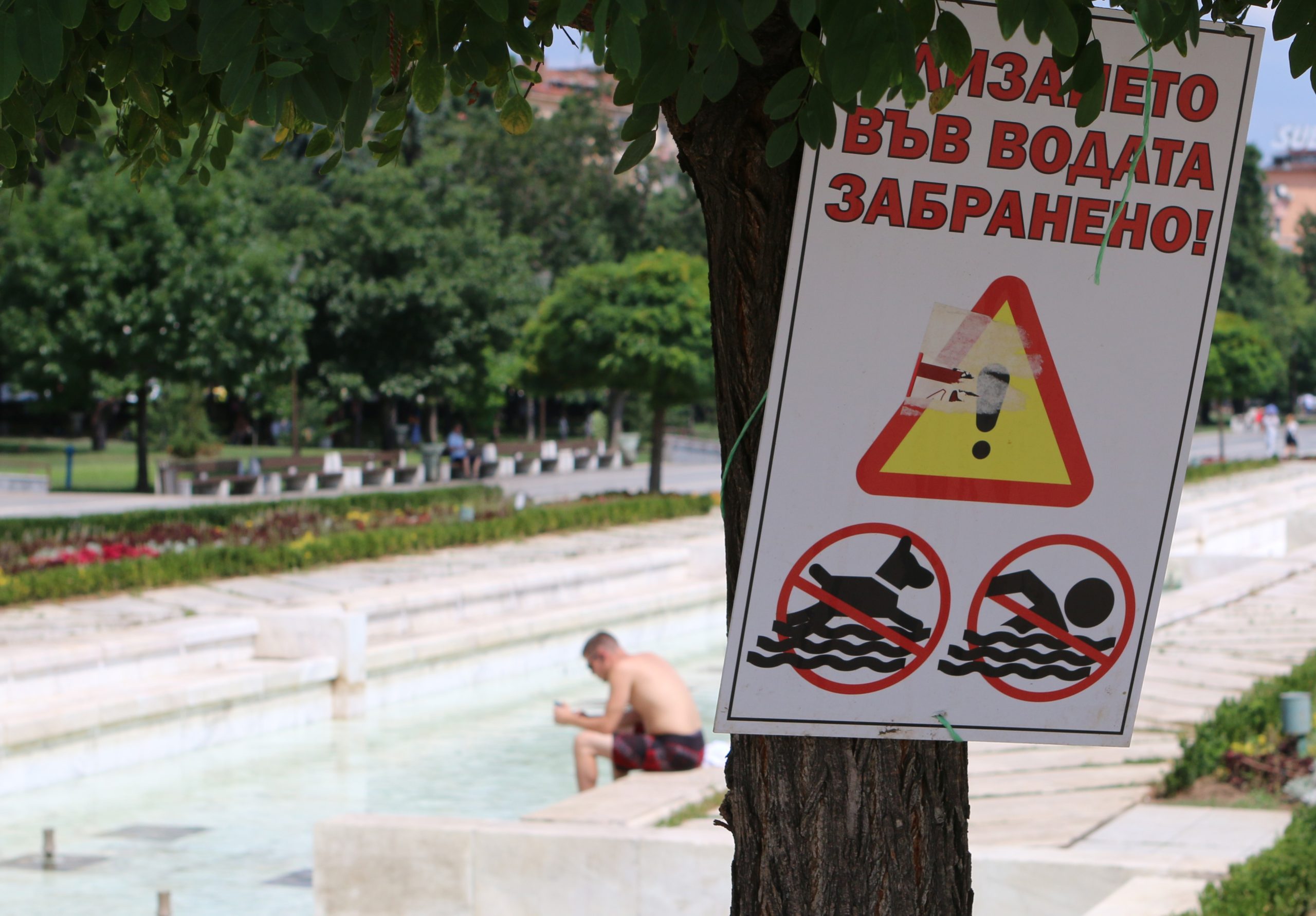 жега софия