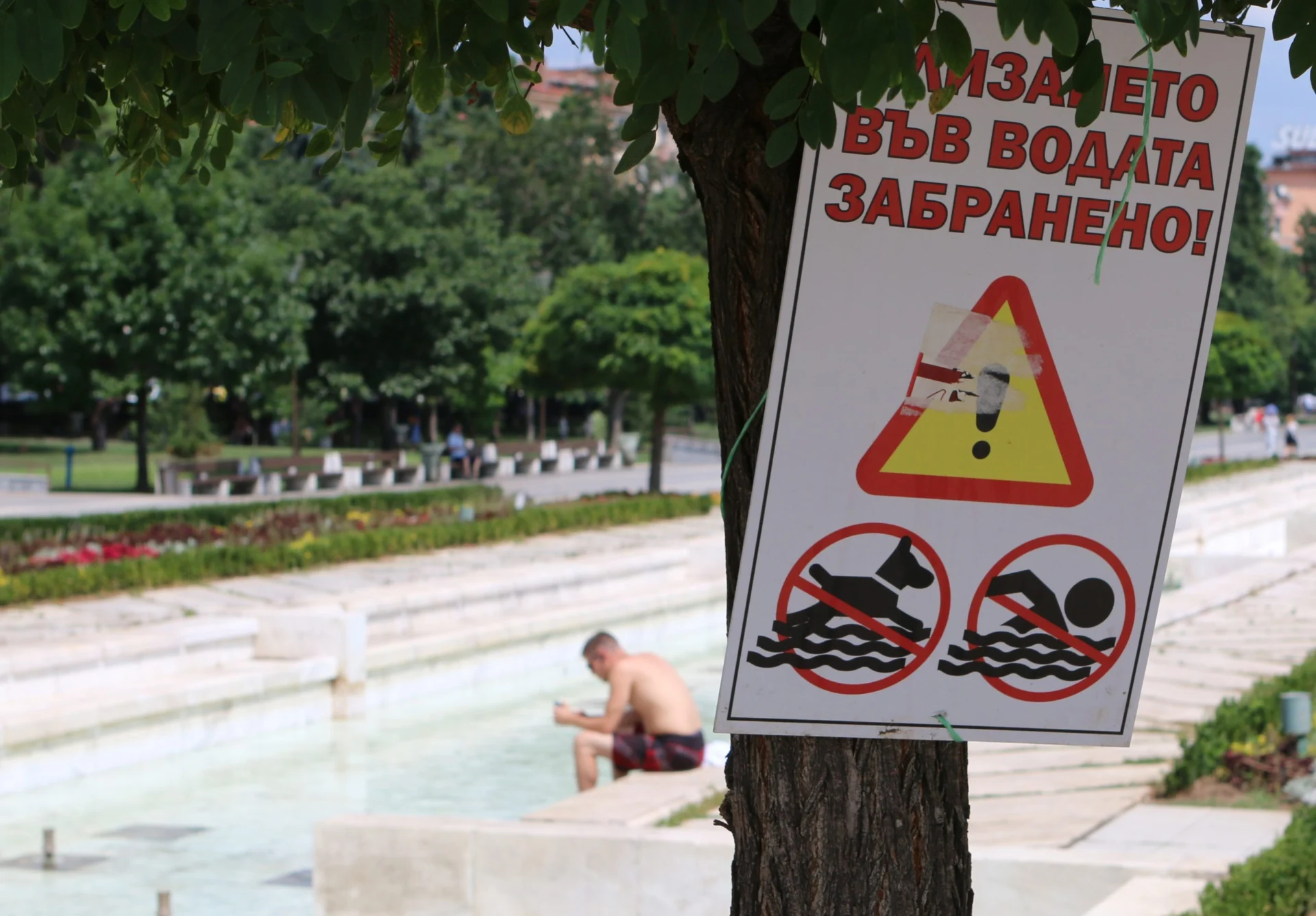 жега софия