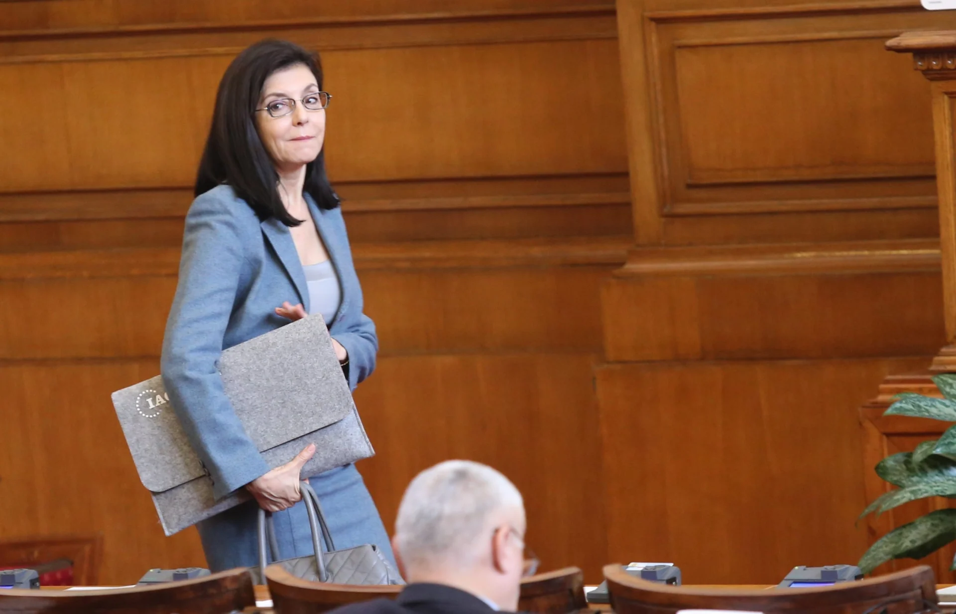 Парламент Меглена Кунева