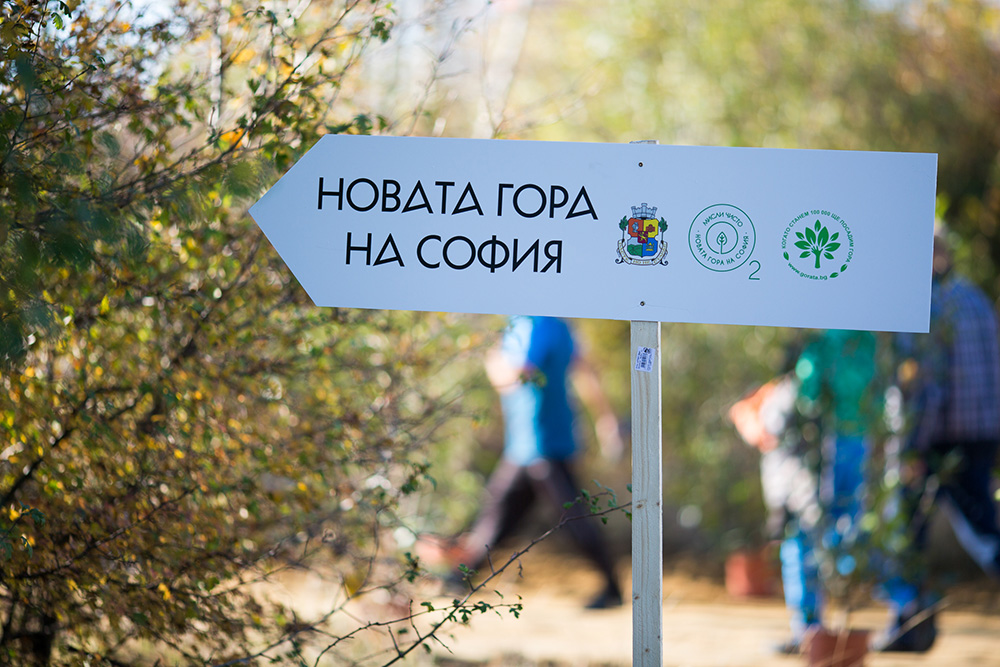 новата гора на софия