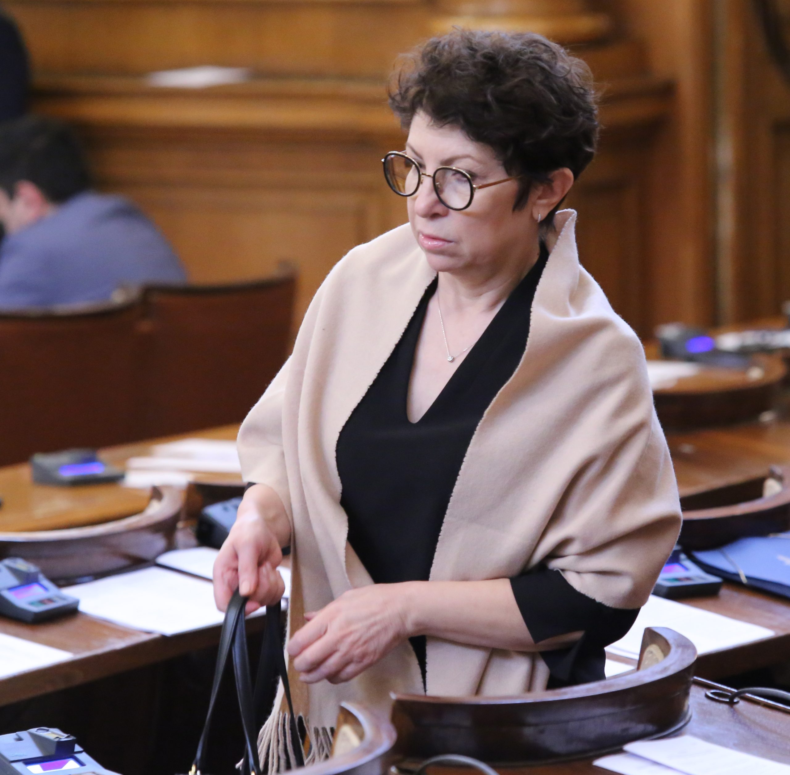 Парламент Рена Стефанова