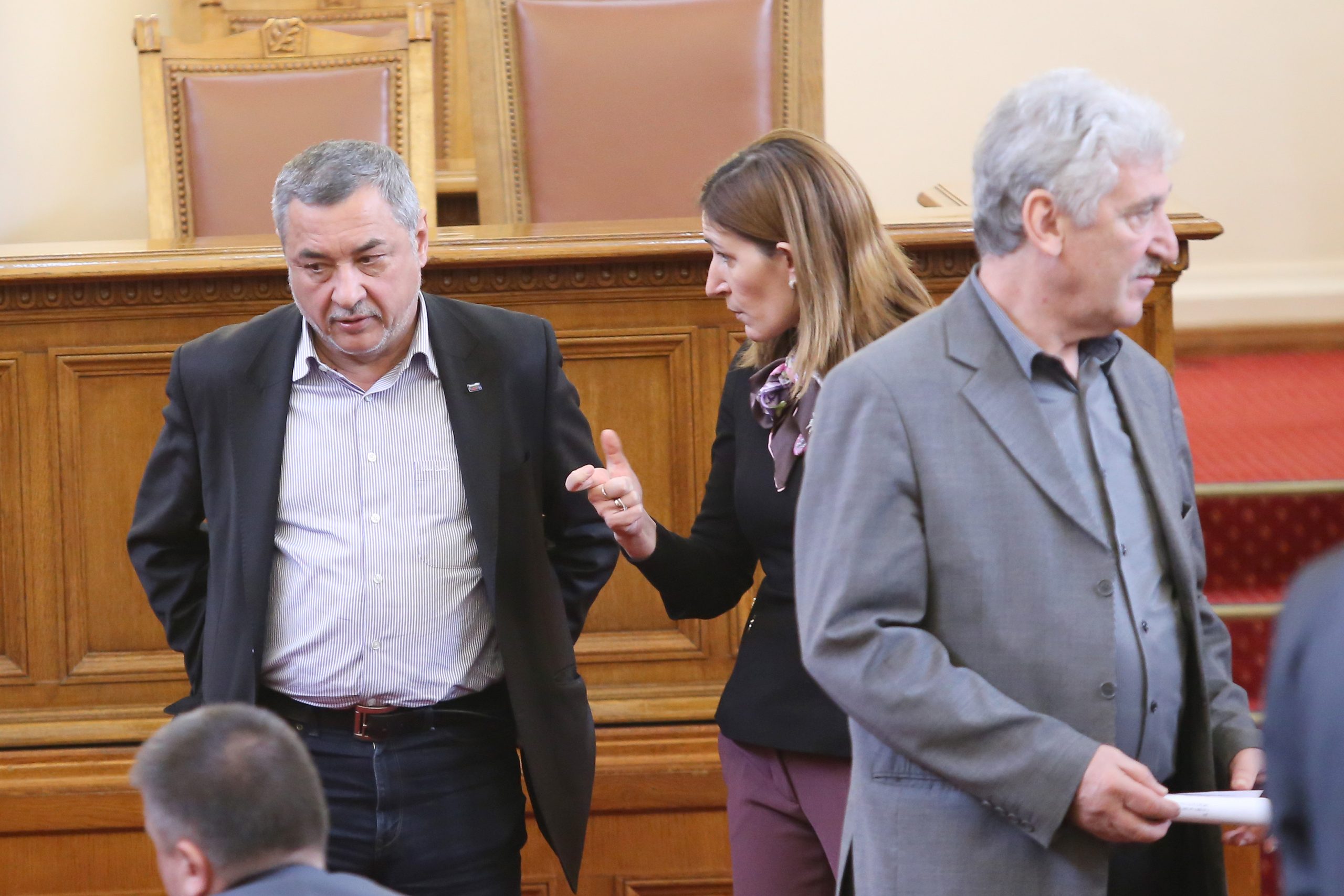 Парламент Валери Симеонов