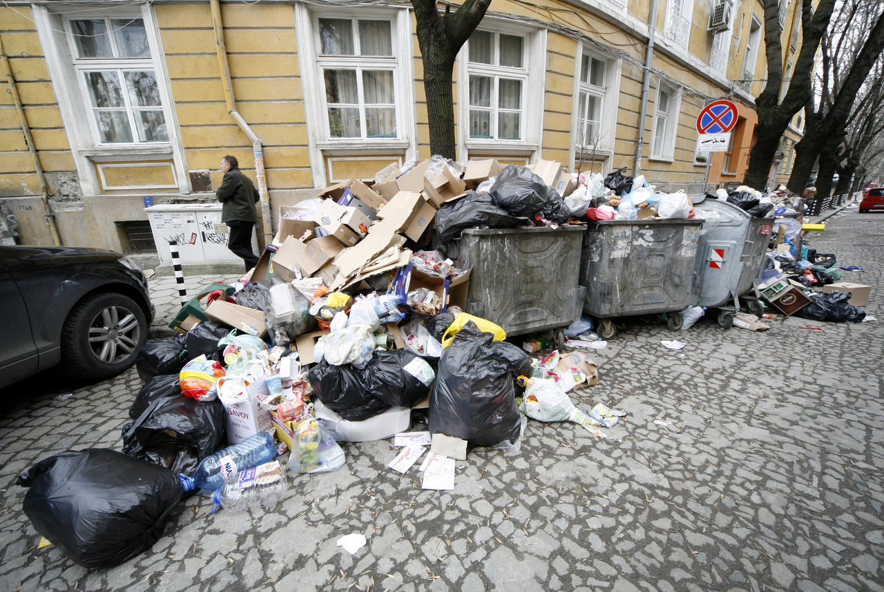 Екипи от четири столични района се включват в чистенето на боклука в "Люлин" и "Красно село"