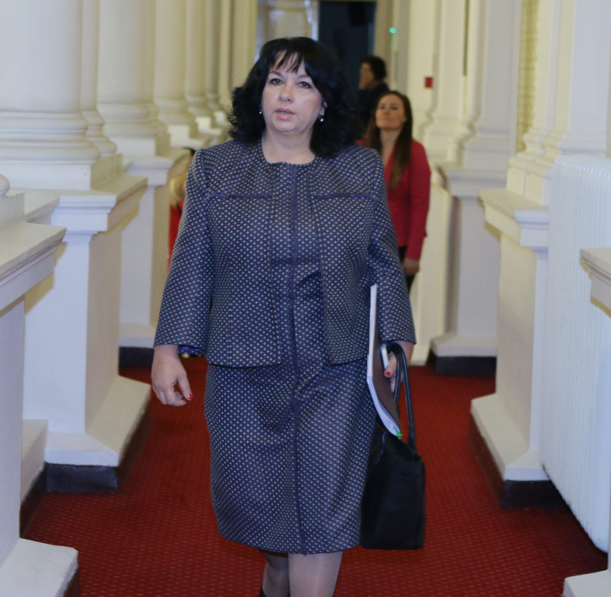 Парламент комисия по енергетика Теменужка Петкова