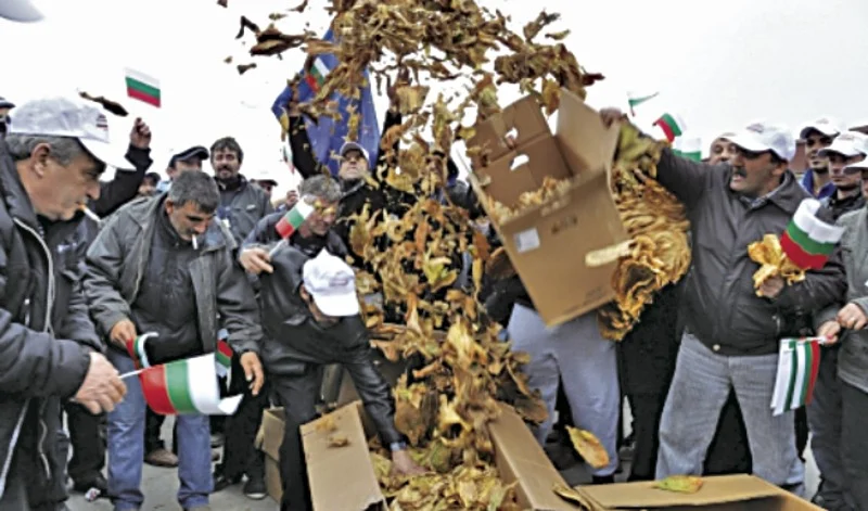 Migration Image