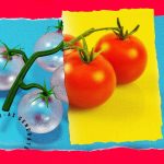 изкуствен интелект