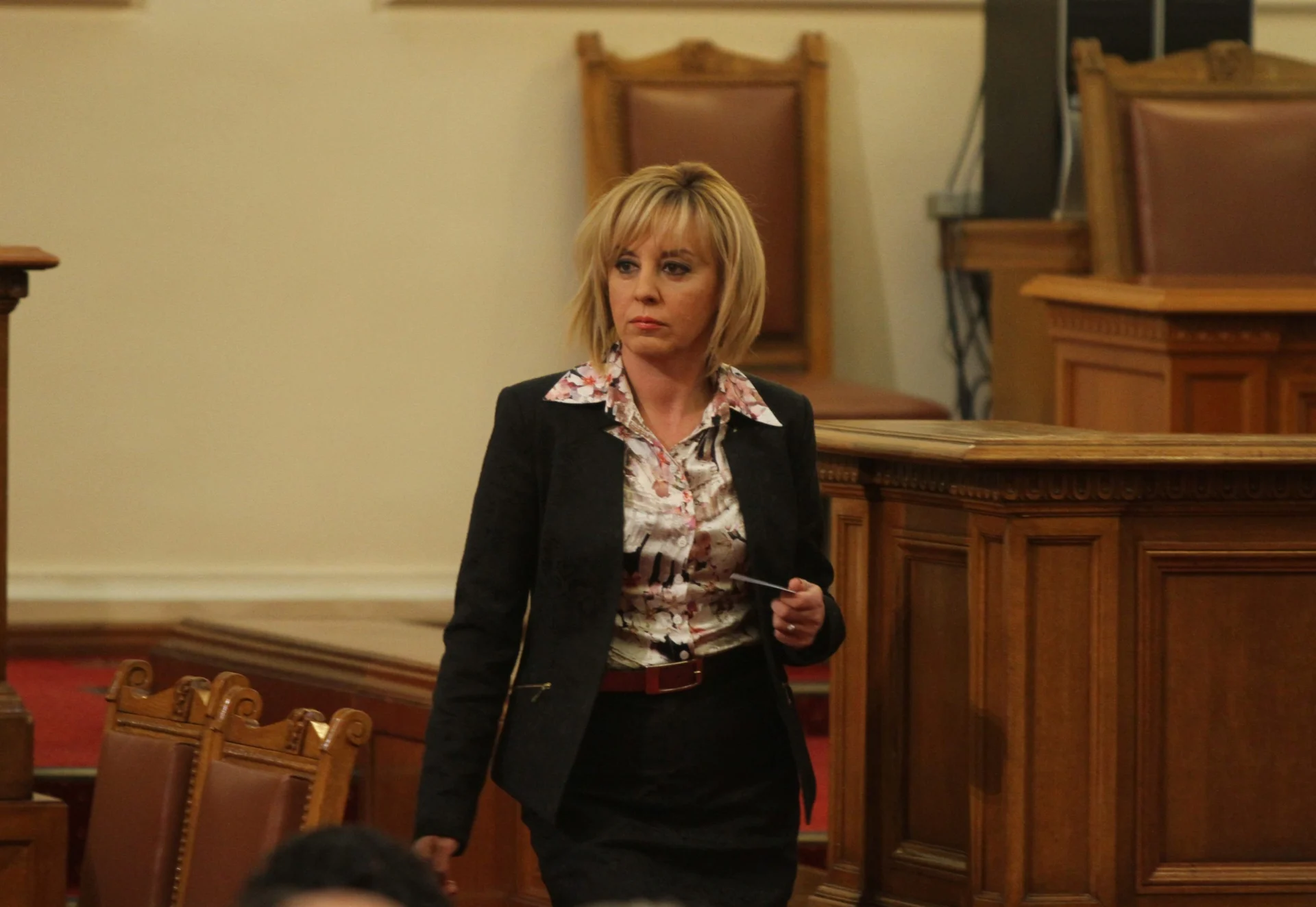 Парламент Мая Манолова - БСП