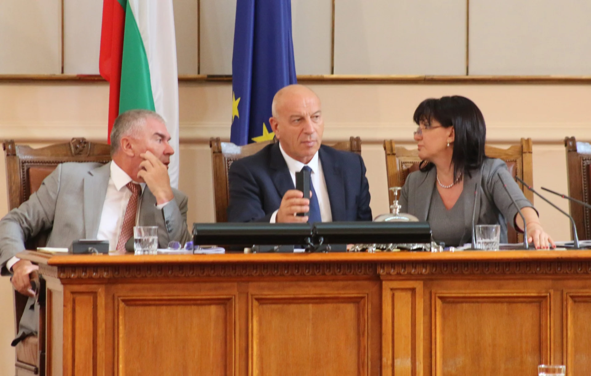 Парламент Веселин Марешки Цвета Караянчева