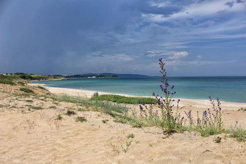 Защитена местност "Залив Корал"