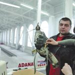 Защитени орли бяха открити на митницата на ферибота при Видин в кола