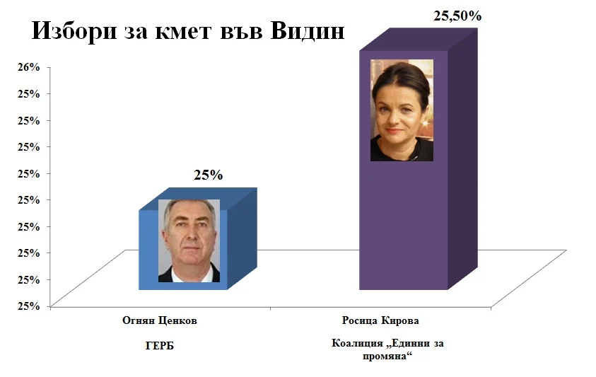 Видин1