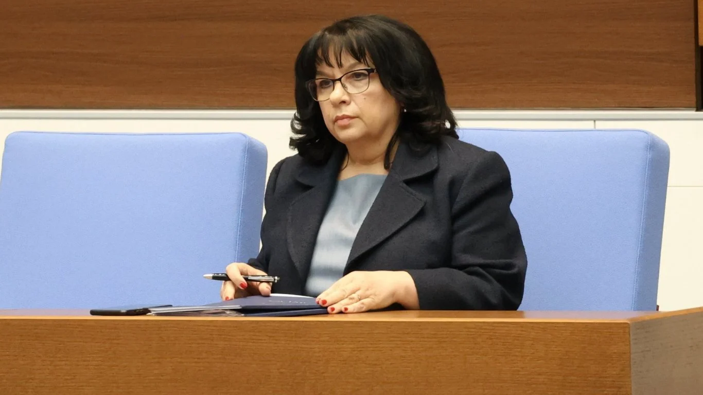 денят, устойчивост, Теменужка Петкова
