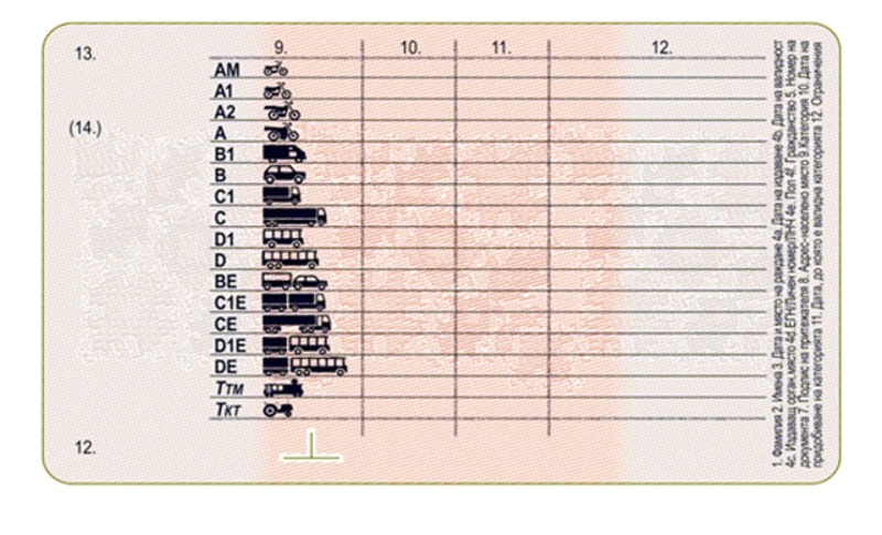 Migration Image