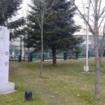 американски летци