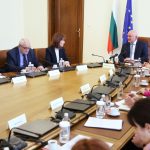 организацията на изборите, Камелия Нейкова, ЦИК