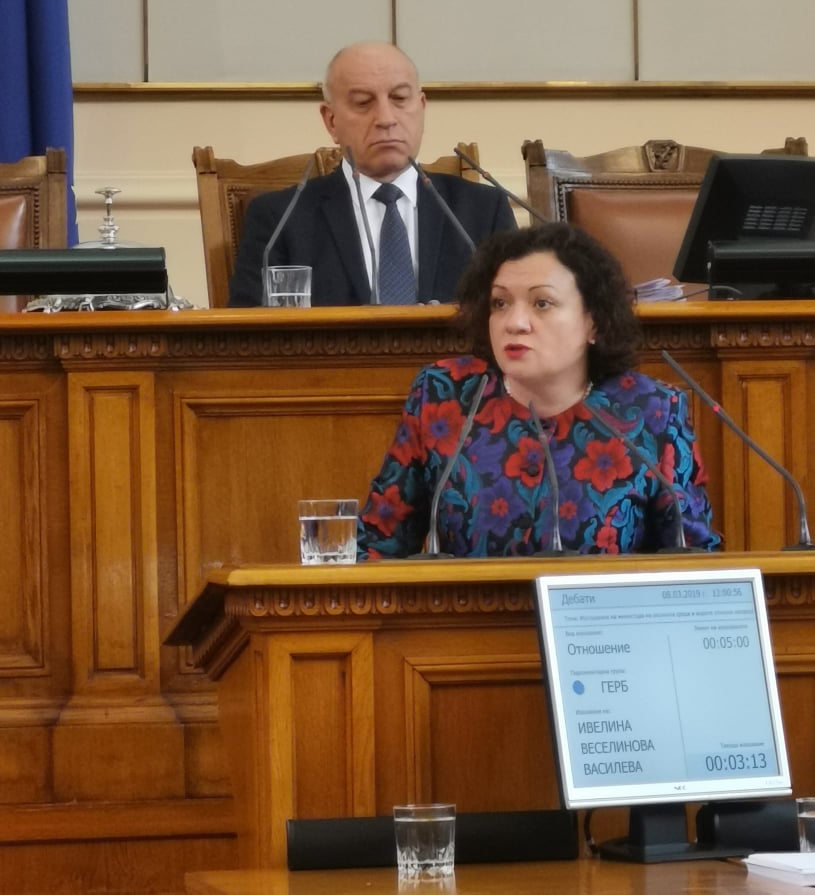 ивелина василева