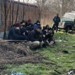 незаконни мигранти