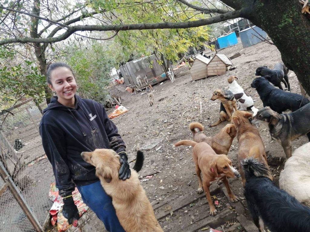 Протести с искане за ефективни присъди при насилие над животни 3 1668329534 kucheta