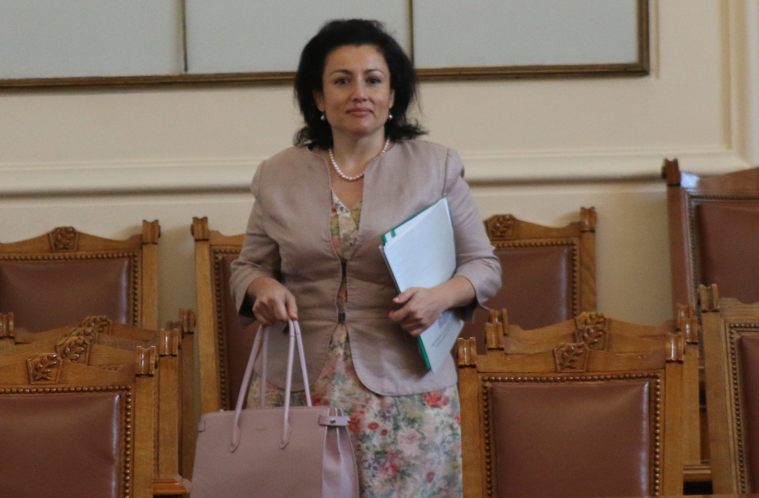 Парламент Десислава Танева отговаря за африканската чума по свинете