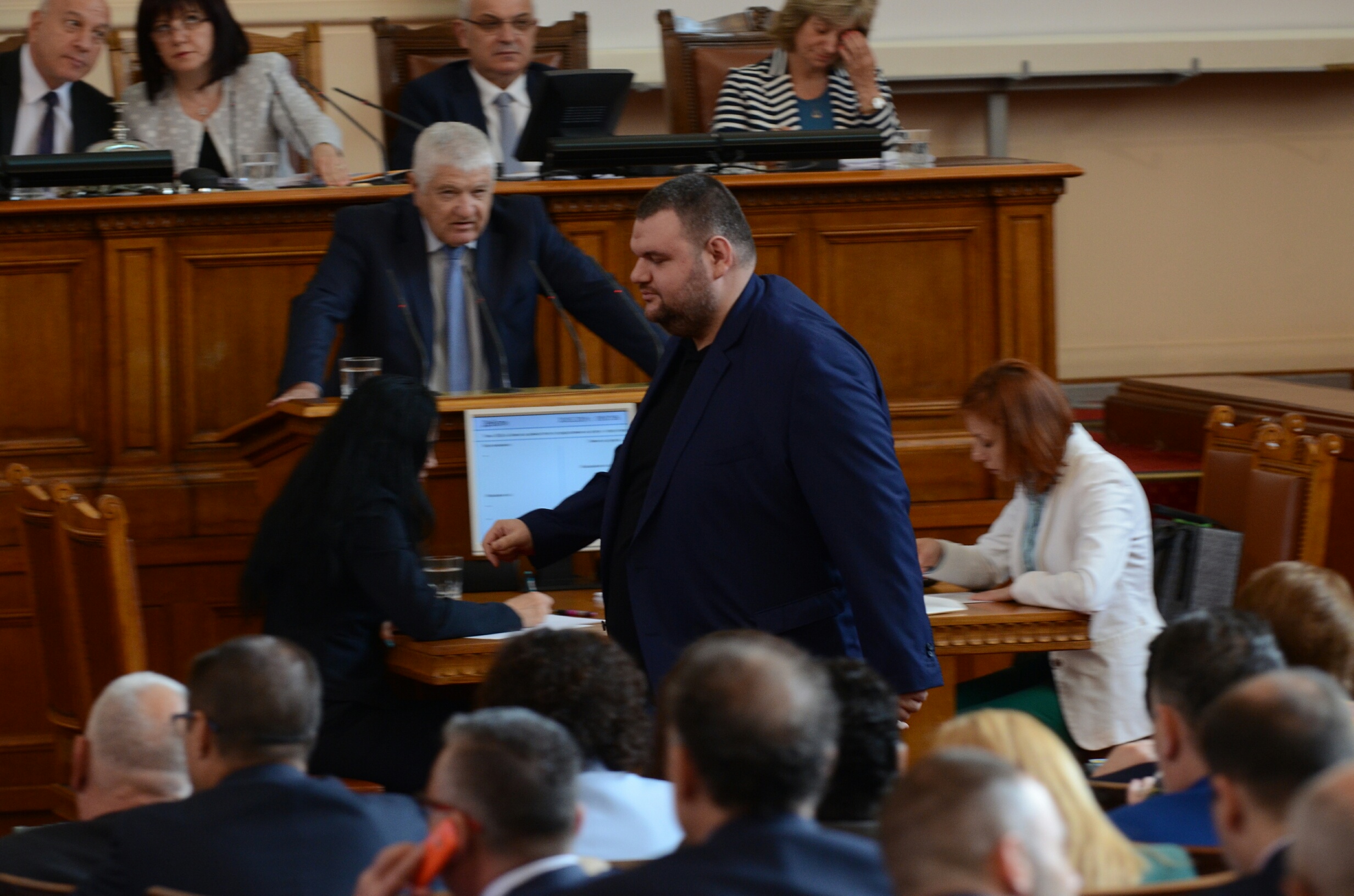 Парламент Делян Пеевски