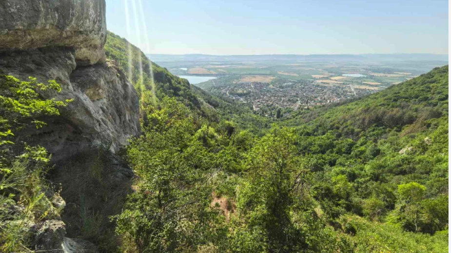 Отново видяха леопарда на Шуменското плато