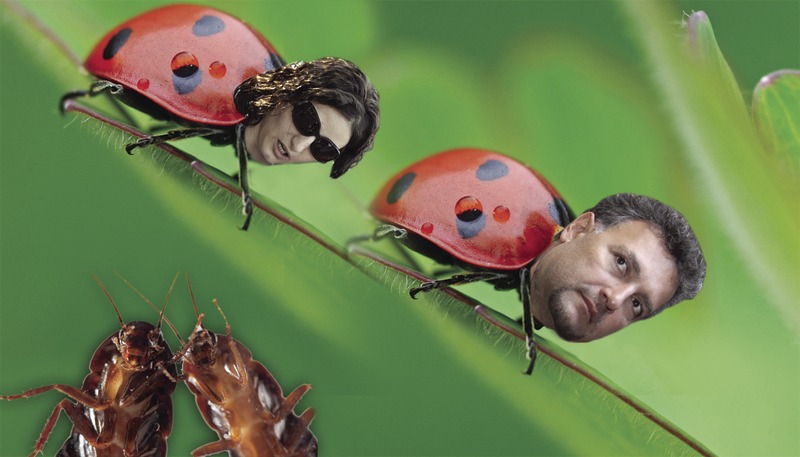 Migration Image
