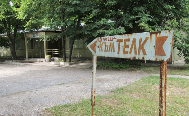 телк