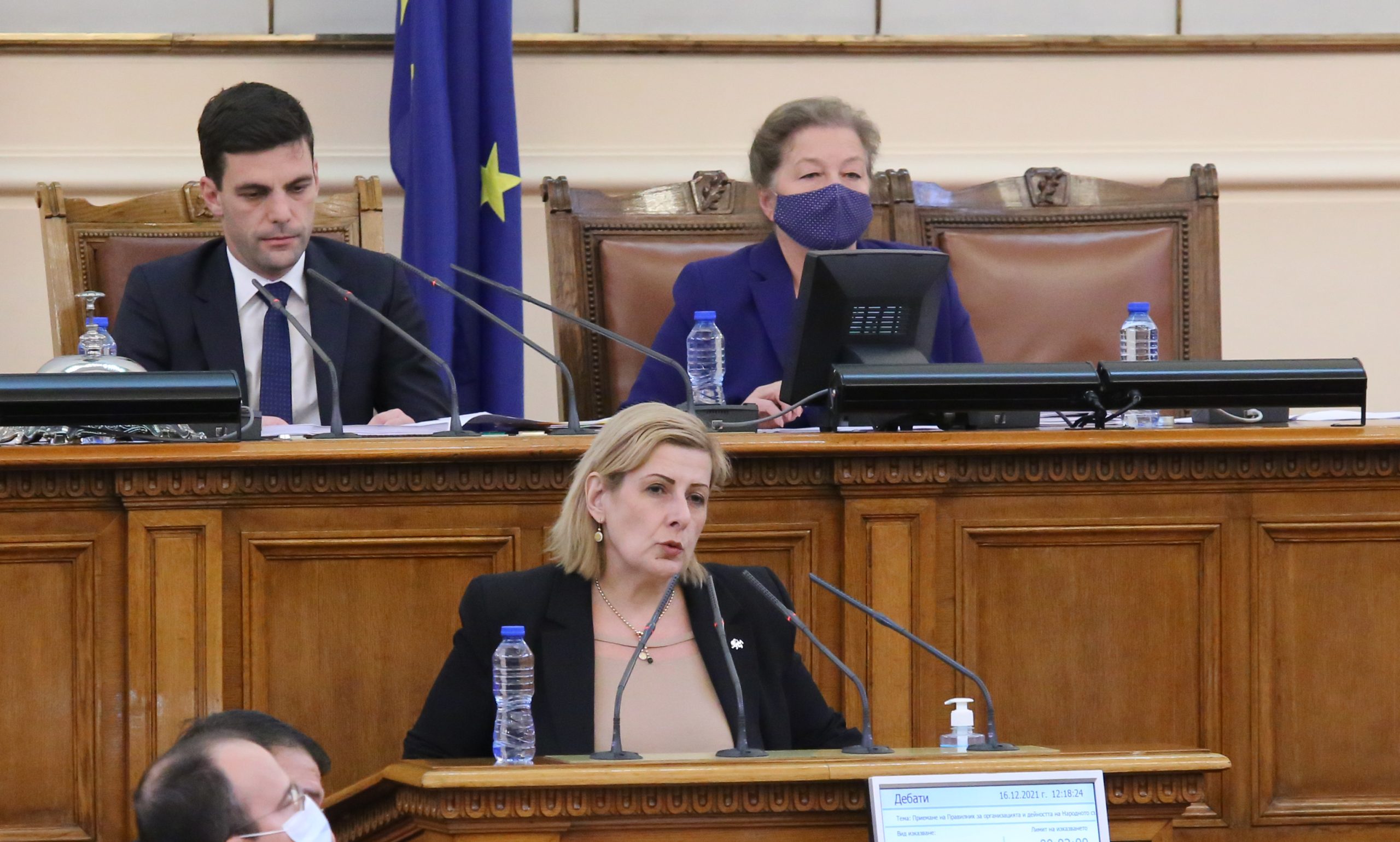 Парламент Елена Гунчева
