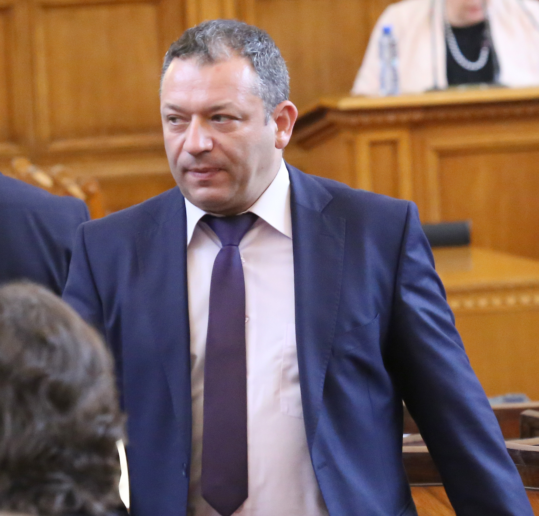 Парламент Димитър Гърдев