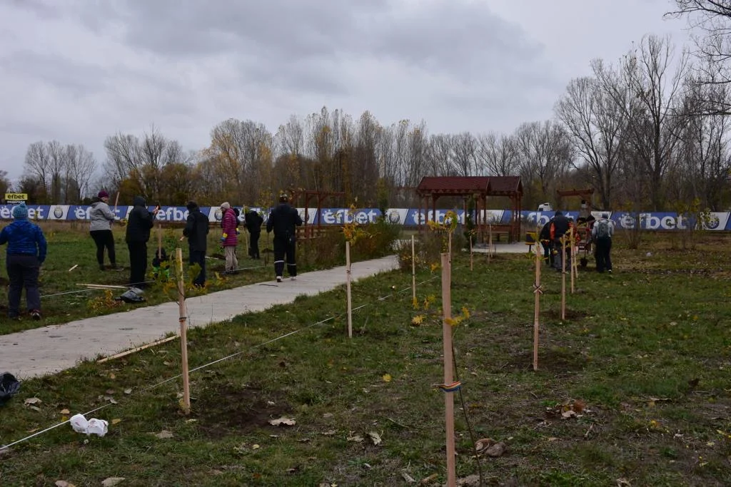 2023 11 20 30 фиданки дъб 1.png.wpt4 1754938 9b09f2ce21 0