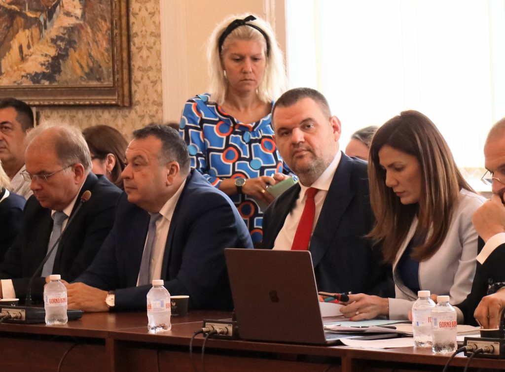 Парламент комисия по правни въпроси Делян Пеевски