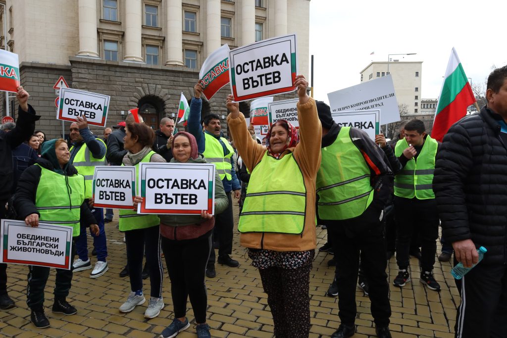 протестиращи искат оставката на Вътев
