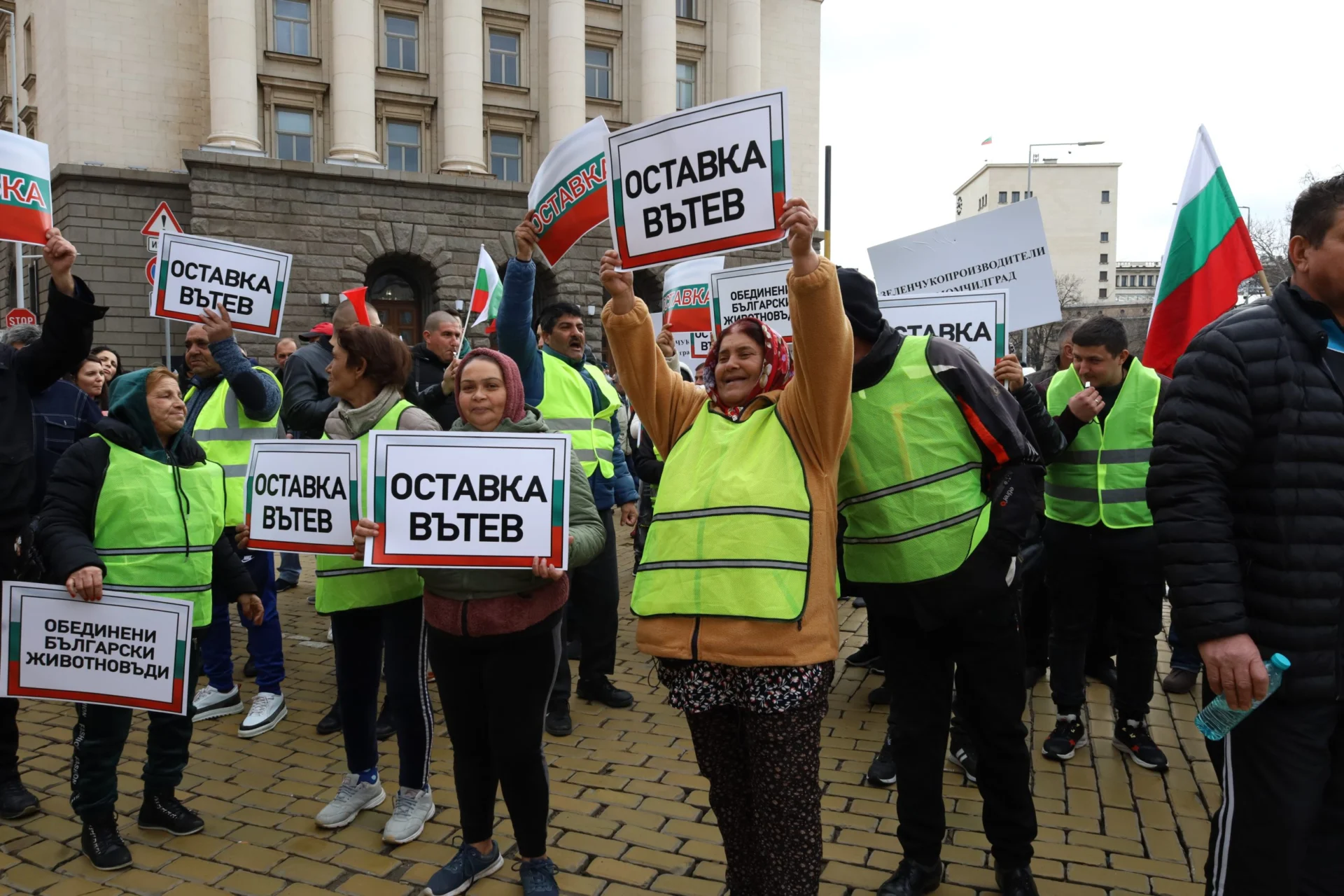 протестиращи искат оставката на Вътев
