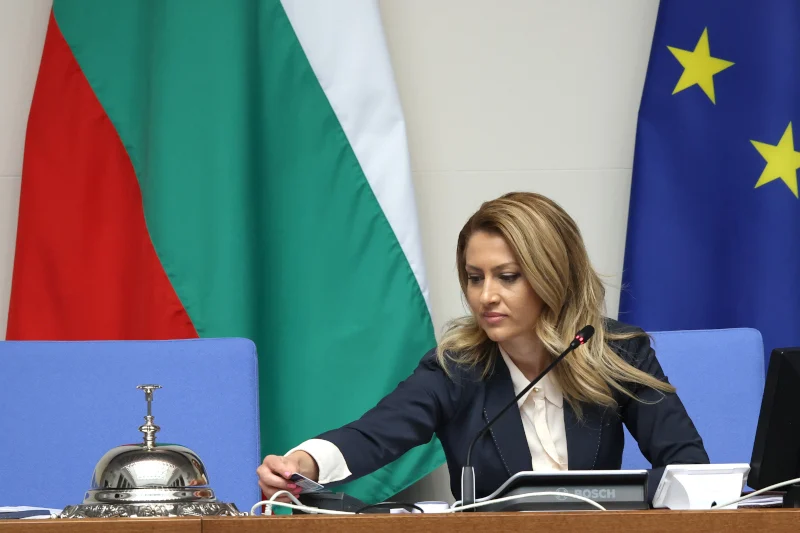 Рая Назарян "размрази" процедурата за гласуване на референдума за еврото на Радев