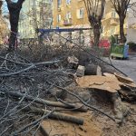 Задръствания заради "спасяването" ни от дървета по улица "Любен Каравелов" в София